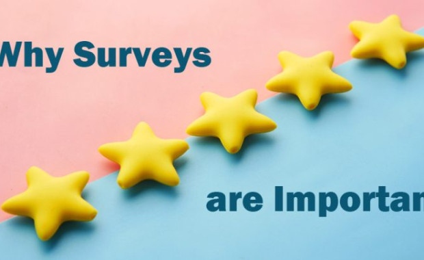 Why Surveys Are Important